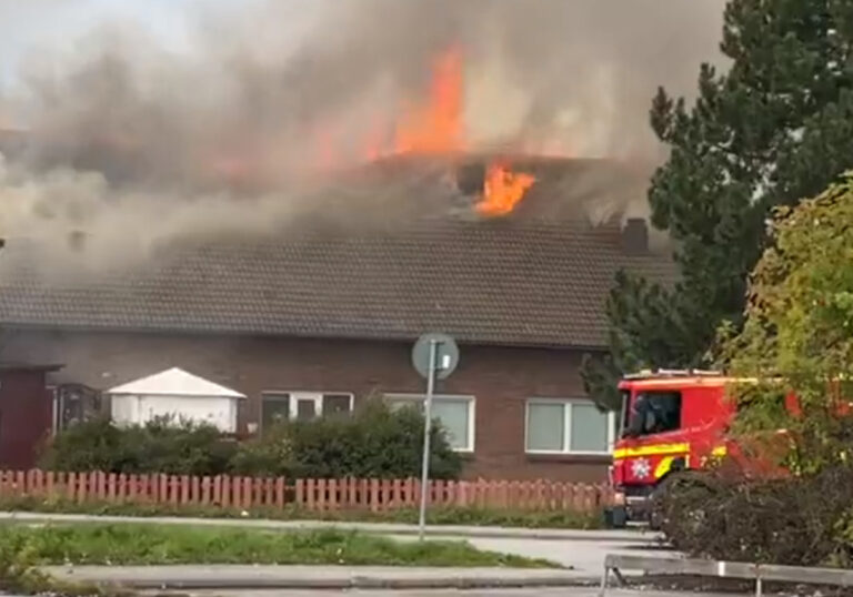 Igniting a fire in a large mosque in Sweden