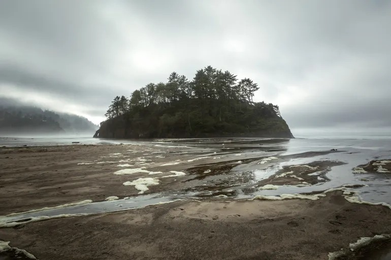 A team of geophysicists applied a machine learning algorithm to the seismic northwest Pacific Ocean (Shutterstock)