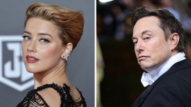 Amber Heard photo posted by Elon Musk