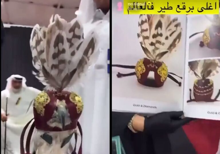 Golden Falcon Hood Sparks Controversy in Qatar: The World’s Most Expensive