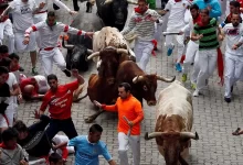 In Spain’s San Fermín Festival, A Distracted Spectator’s Close Encounter with Danger