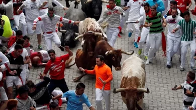 In Spain’s San Fermín Festival, A Distracted Spectator’s Close Encounter with Danger