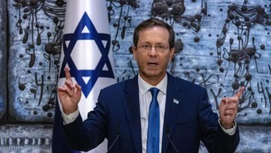 Herzog incitement to genocide