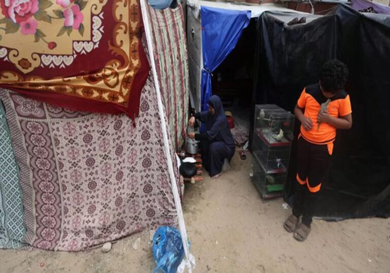 Palestinian refugees in Gaza endure harsh conditions within shelter centers