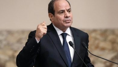 The truth about Sisi's call to liquidate Hamas