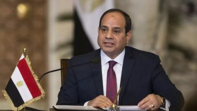 Al-Sisi continues to stir up controversy and provoke Egyptians