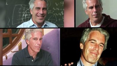 Epstein's sexual crimes.