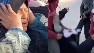 the execution of a Gaza citizen