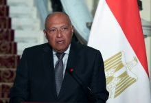 Egyptian Foreign Minister Sameh Shoukry