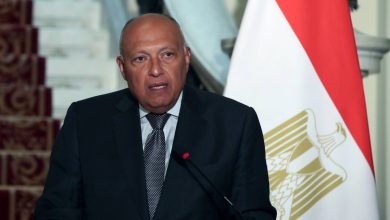 Egyptian Foreign Minister Sameh Shoukry