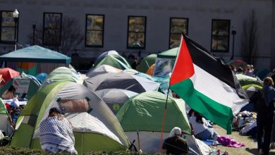 American Universities Stand with Palestine