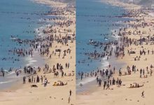 Palestinians Find Joy on Gaza Beach