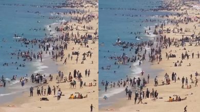 Palestinians Find Joy on Gaza Beach