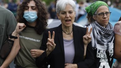 Green Party Candidate Jill Stein