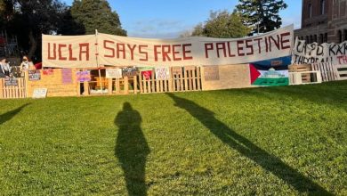 American Universities Stand with Palestine