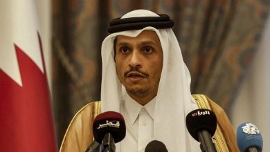 Qatari PM on Gaza Ceasefire