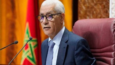 Moroccan MP Rim Chabat Referred to Ethics Committee Over Urban Transport Criticism