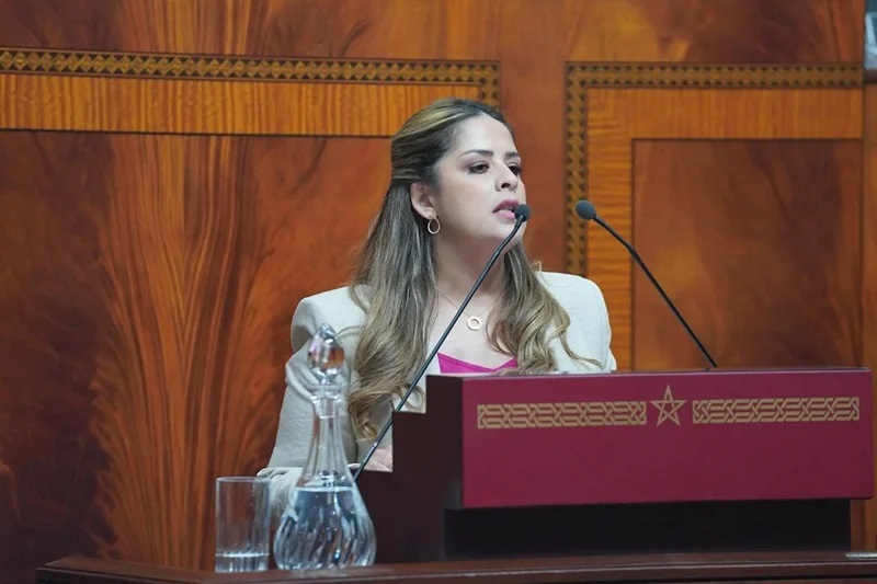 Moroccan MP Rim Chabat