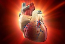 Human heart regeneration