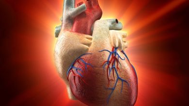 Human heart regeneration