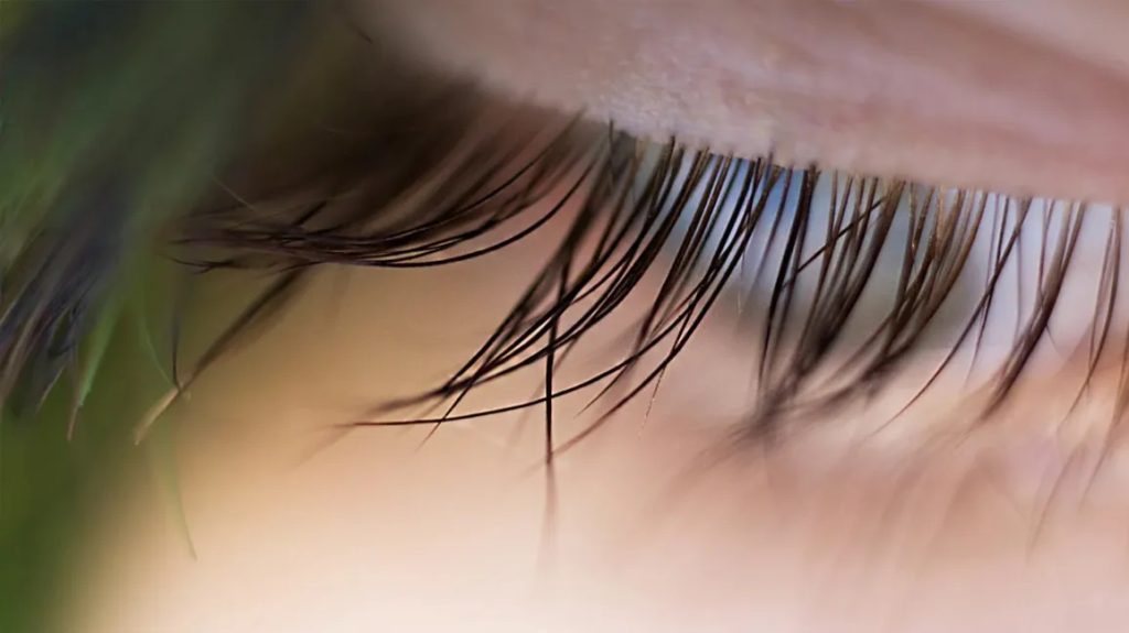 Learn how to achieve longer, thicker, and healthier eyelashes with natural oils like castor,