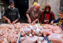 Meat Returns to Gaza Markets at Unprecedented Prices