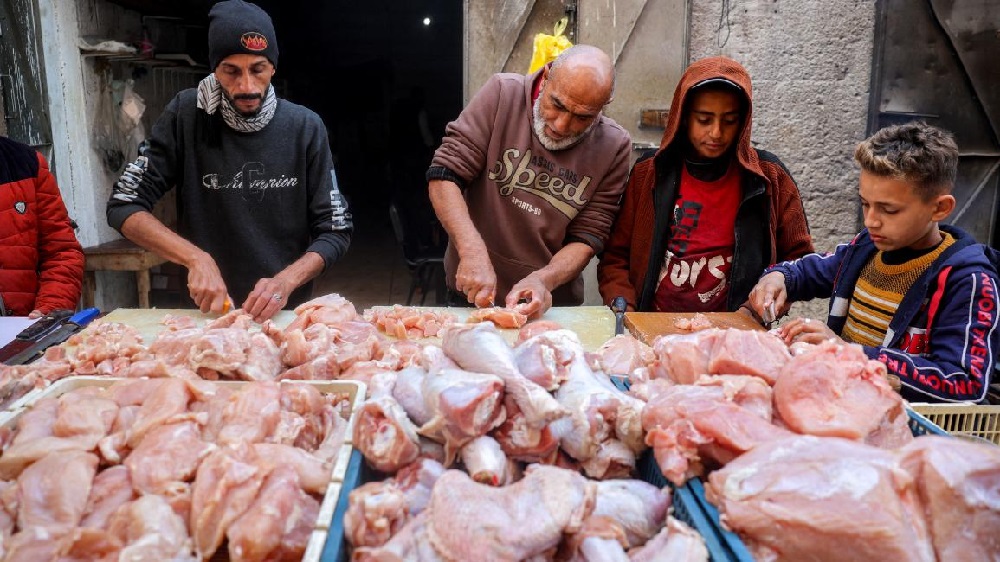 Meat Returns to Gaza Markets at Unprecedented Prices