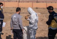 Protecting Daraa's Mass Graves- Evidence of Assad Regime Atrocities