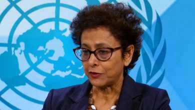 The UN Special Rapporteur on Freedom of Opinion and Expression, Irene Khan