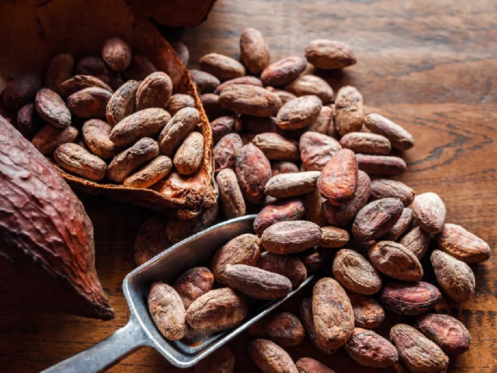  The Power of Cocoa: How Natural Flavanols Can Reduce Stress and Boost Health