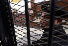 A new report by the Committee for Justice reveals that Egyptian authorities have referred over 130 cases to criminal courts,