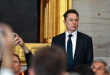 Elon Musk government reform