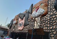 Fayoum Zoo, lion attack