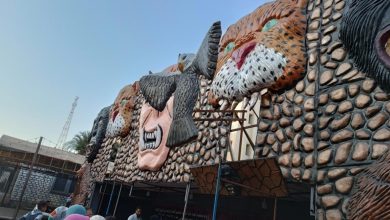 Fayoum Zoo, lion attack