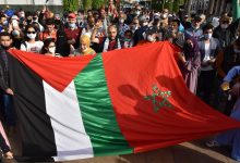 Thousands of Moroccans Protest Against Trump’s Gaza Plan and Israeli Minister’s Visit