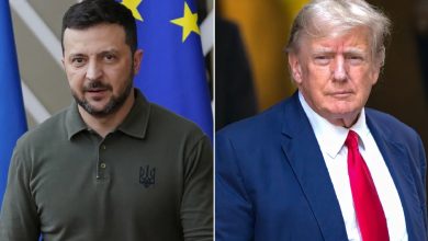 Ukrainian President Volodymyr Zelensky has proposed a strategic deal to Donald Trump,