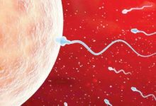 A study published in Human Reproduction finds a link between sperm quality and life expectancy