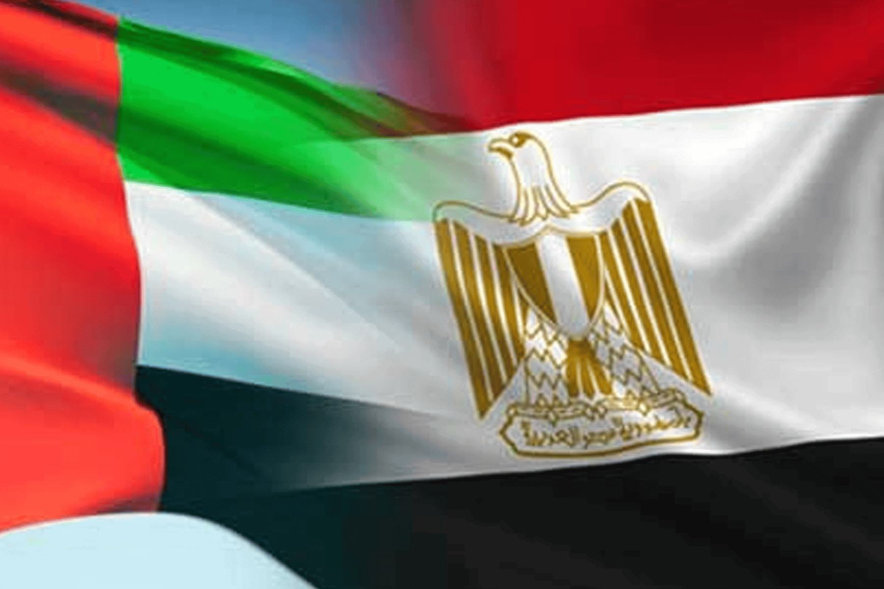 المصريين المعتقلين في دبي watanserb.com