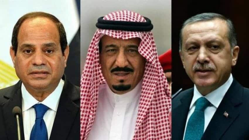 الملك واردوغان والسيسي watanserb.com