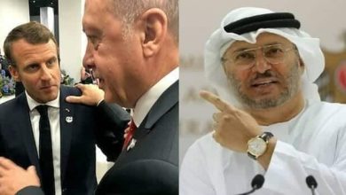 أنور قرقاش يدافع عن ماكرون ويهاجم اردوغان watanserb.com