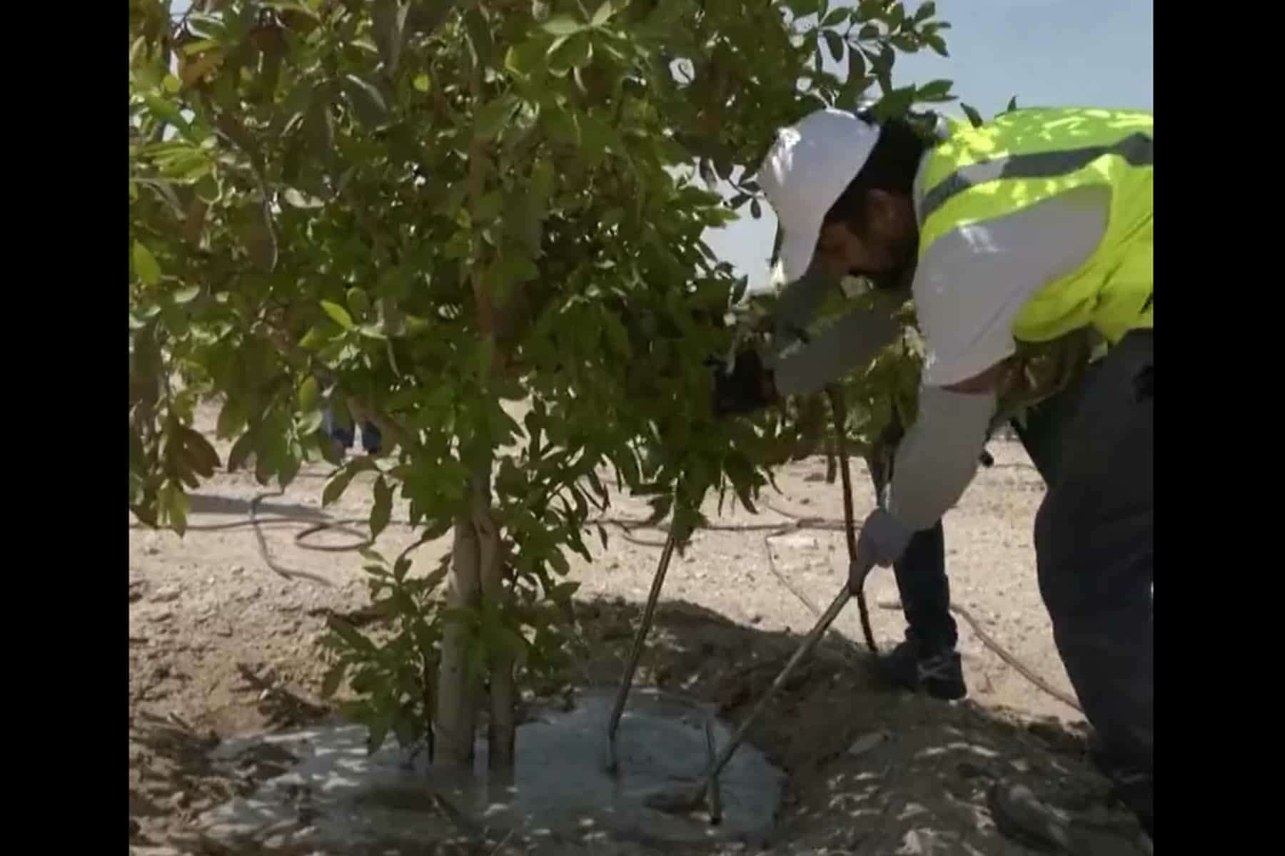 الطين السائل watanserb.com