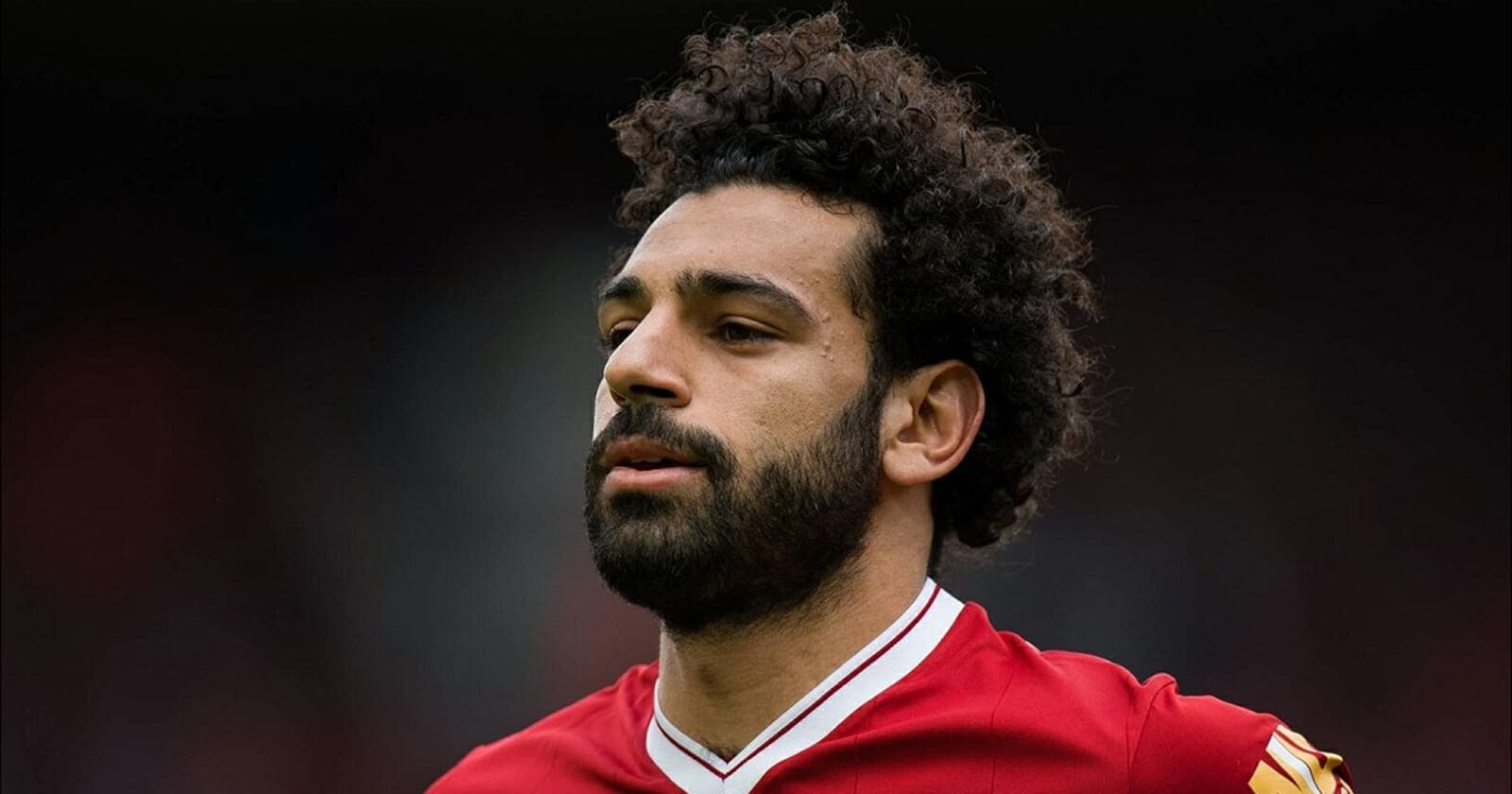 محمد صلاح watanserb.com