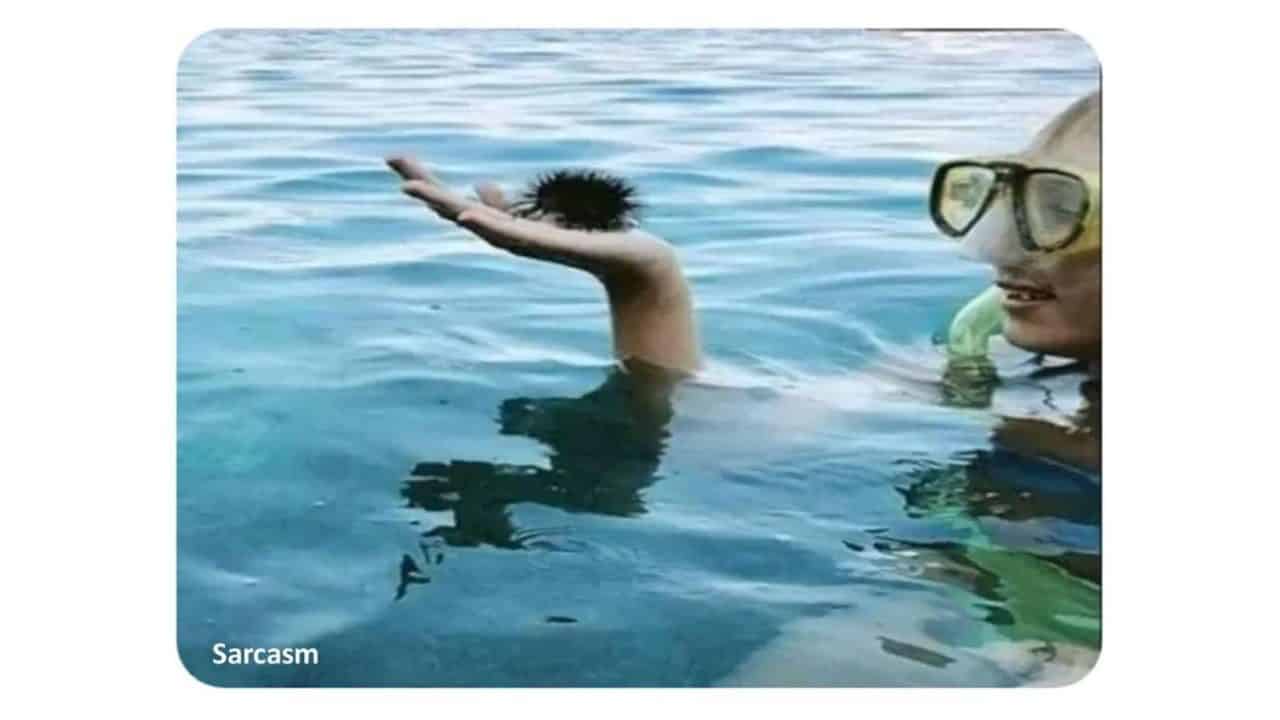 وهم بصري حيّر الآلاف..كم من شخص ترى في هذه الصورة؟ watanserb.com