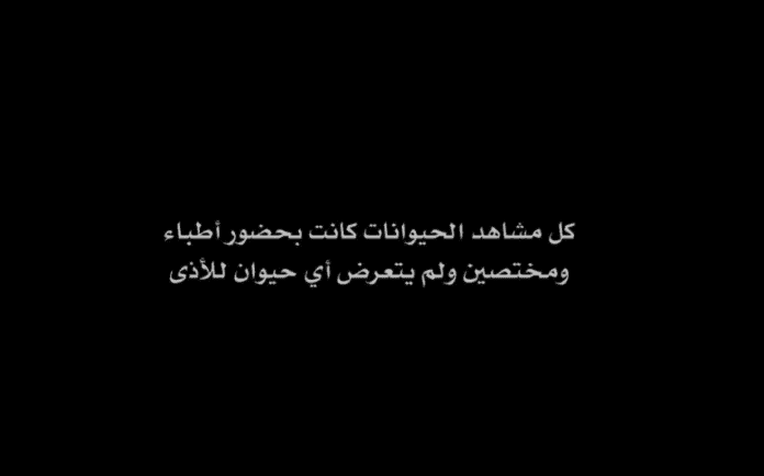 مشهد إعدام القطط في مسلسل ولاد بديعة