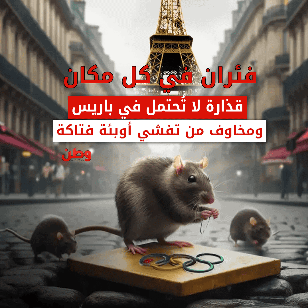 جرذان في أولمبياد باريس