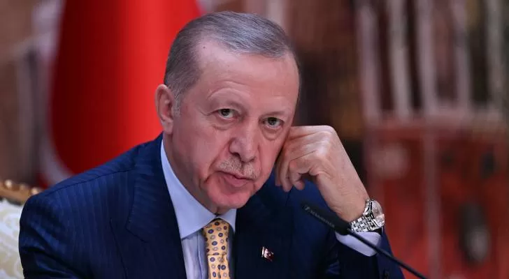 أردوغان استفاد من تجارب الربيع العربي