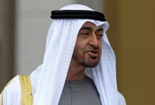 محمد بن زايد يحاول التدخل في شؤون سوريا