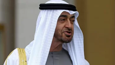 محمد بن زايد يحاول التدخل في شؤون سوريا