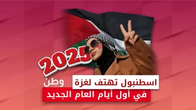 مظاهرة إسطنبول لنصرة غزة