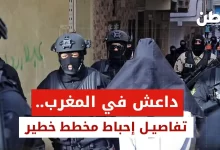 إحباط مخطط إرهابي في المغرب